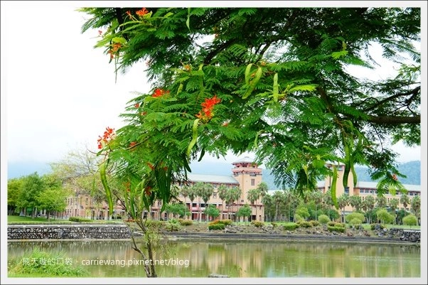 花蓮吉安|東華大學|東部最美的貴族學校,仿佛置身小歐洲 @飛天璇的口袋