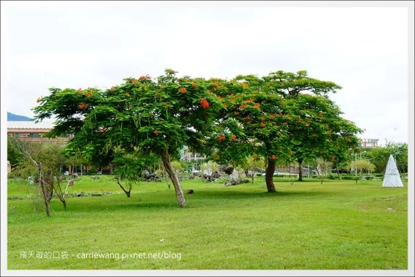 花蓮吉安|東華大學|東部最美的貴族學校,仿佛置身小歐洲 @飛天璇的口袋