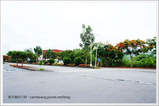 花蓮吉安|東華大學|東部最美的貴族學校,仿佛置身小歐洲 @飛天璇的口袋