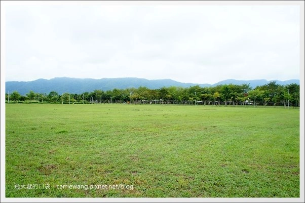 花蓮吉安|東華大學|東部最美的貴族學校,仿佛置身小歐洲 @飛天璇的口袋