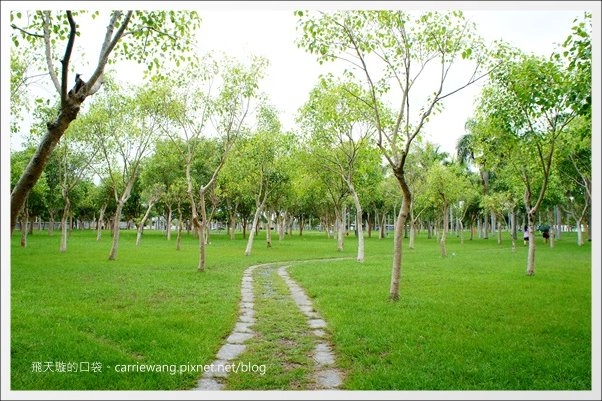 花蓮吉安|東華大學|東部最美的貴族學校,仿佛置身小歐洲 @飛天璇的口袋