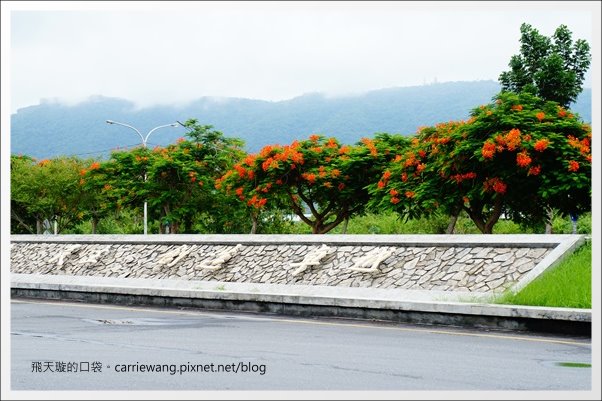 花蓮吉安|東華大學|東部最美的貴族學校,仿佛置身小歐洲 @飛天璇的口袋