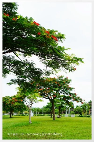 花蓮吉安|東華大學|東部最美的貴族學校,仿佛置身小歐洲 @飛天璇的口袋