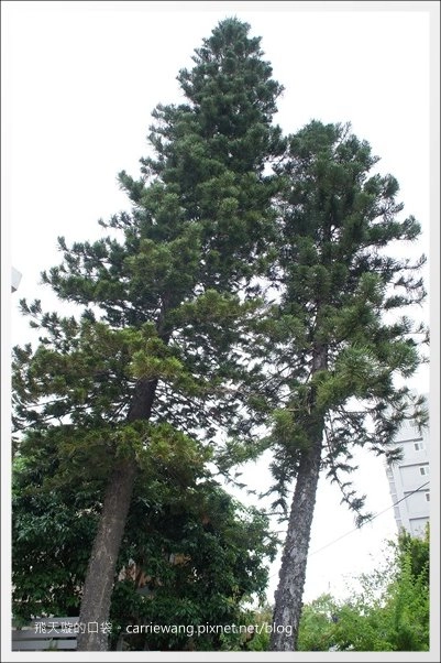 【台中拉麵推薦】一凜日式拉麵@在日式庭院餐廳享受日式拉麵,不愛重鹹的朋友可以嚐試~ @飛天璇的口袋
