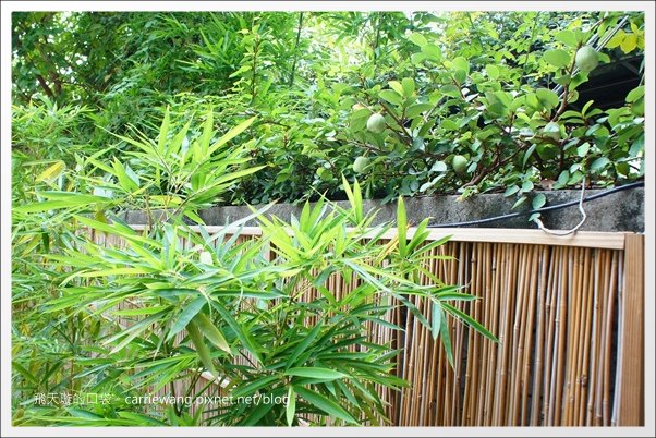 【台中拉麵推薦】一凜日式拉麵@在日式庭院餐廳享受日式拉麵,不愛重鹹的朋友可以嚐試~ @飛天璇的口袋