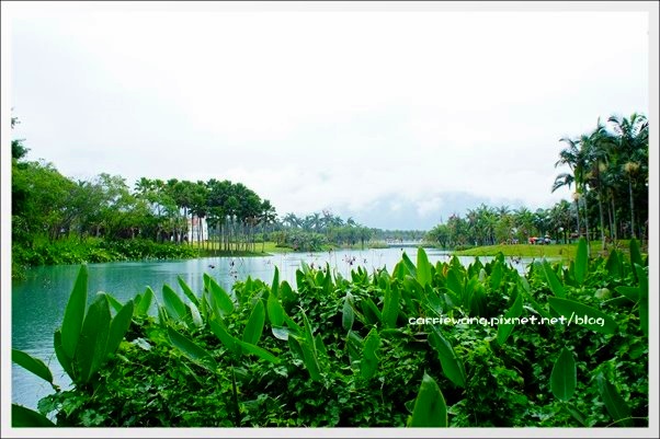 【花蓮旅遊景點】雲山水生態農莊。美如仙境的夢幻湖,後山的世外桃源 @飛天璇的口袋