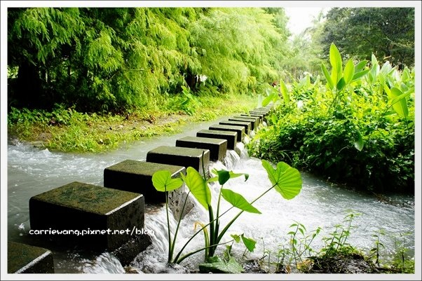 【花蓮旅遊景點】雲山水生態農莊。美如仙境的夢幻湖,後山的世外桃源 @飛天璇的口袋