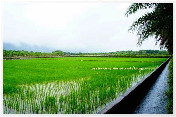 【花蓮旅遊景點】雲山水生態農莊。美如仙境的夢幻湖,後山的世外桃源 @飛天璇的口袋