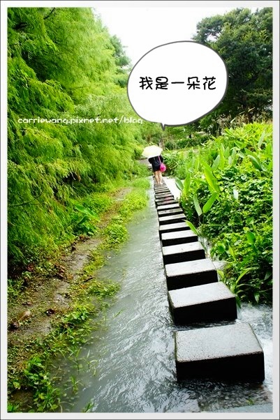 【花蓮旅遊景點】雲山水生態農莊。美如仙境的夢幻湖,後山的世外桃源 @飛天璇的口袋