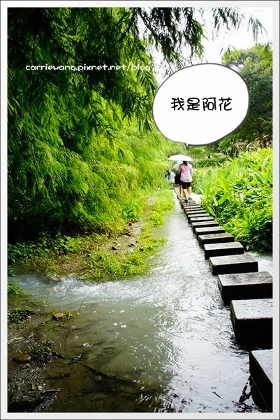 【花蓮旅遊景點】雲山水生態農莊。美如仙境的夢幻湖,後山的世外桃源 @飛天璇的口袋