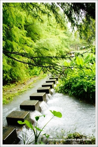 【花蓮旅遊景點】雲山水生態農莊。美如仙境的夢幻湖,後山的世外桃源 @飛天璇的口袋