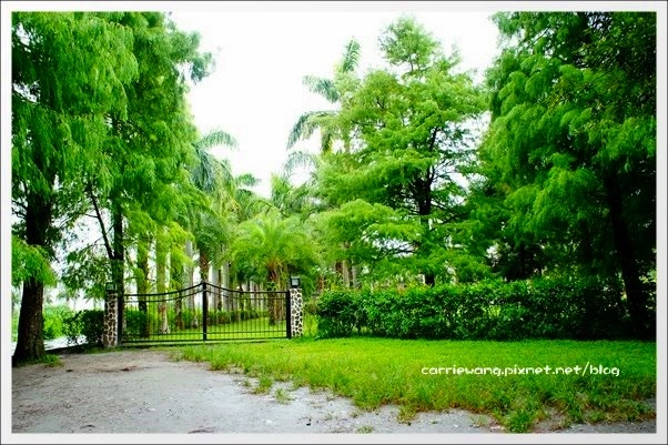 【花蓮旅遊景點】雲山水生態農莊。美如仙境的夢幻湖,後山的世外桃源 @飛天璇的口袋
