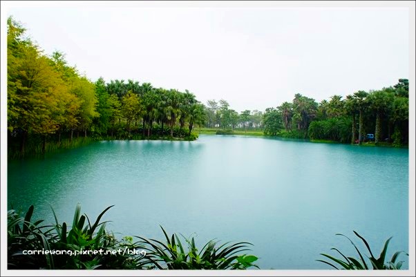 【花蓮旅遊景點】雲山水生態農莊。美如仙境的夢幻湖,後山的世外桃源 @飛天璇的口袋