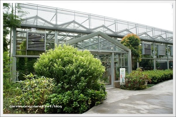 菁芳園休閒農場|田尾最美的落羽松森林,彷佛到了歐洲一樣的異國風情 @飛天璇的口袋