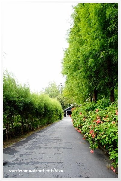 菁芳園休閒農場|田尾最美的落羽松森林,彷佛到了歐洲一樣的異國風情 @飛天璇的口袋