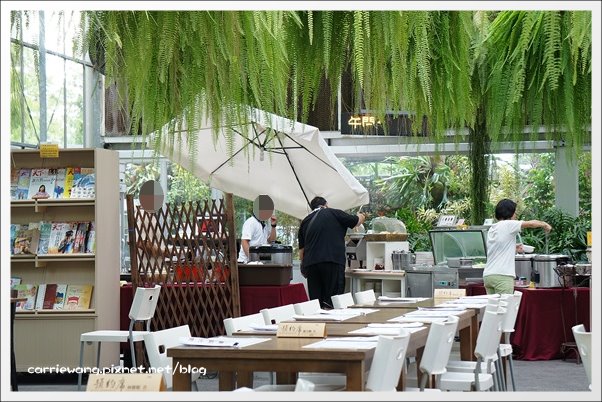 菁芳園休閒農場|田尾最美的落羽松森林,彷佛到了歐洲一樣的異國風情 @飛天璇的口袋