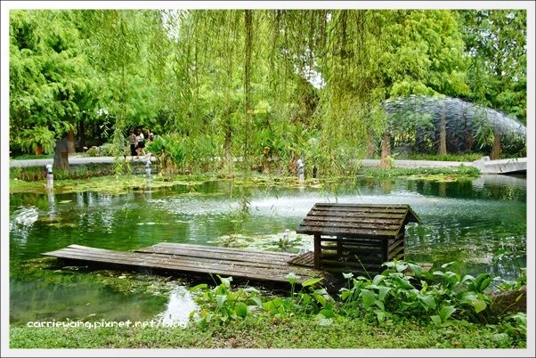 菁芳園休閒農場|田尾最美的落羽松森林,彷佛到了歐洲一樣的異國風情 @飛天璇的口袋