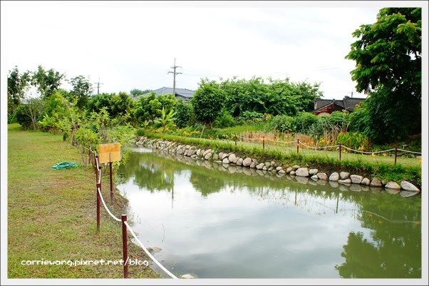 菁芳園休閒農場|田尾最美的落羽松森林,彷佛到了歐洲一樣的異國風情 @飛天璇的口袋
