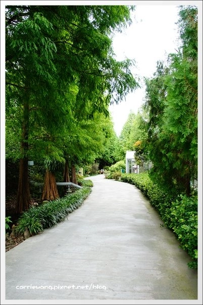 菁芳園休閒農場|田尾最美的落羽松森林,彷佛到了歐洲一樣的異國風情 @飛天璇的口袋