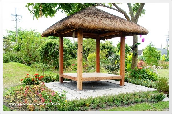 菁芳園休閒農場|田尾最美的落羽松森林,彷佛到了歐洲一樣的異國風情 @飛天璇的口袋