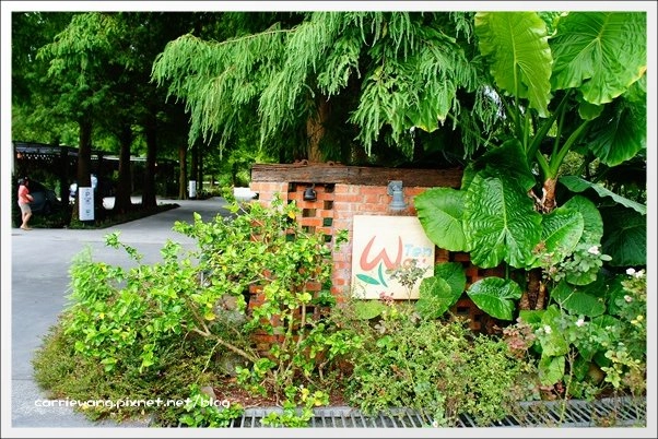 菁芳園休閒農場|田尾最美的落羽松森林,彷佛到了歐洲一樣的異國風情 @飛天璇的口袋