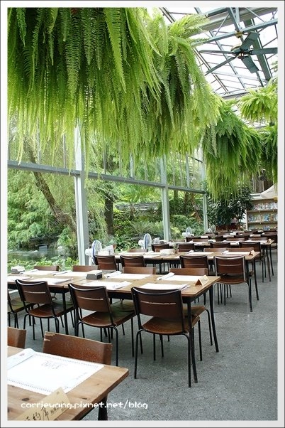 菁芳園休閒農場|田尾最美的落羽松森林,彷佛到了歐洲一樣的異國風情 @飛天璇的口袋