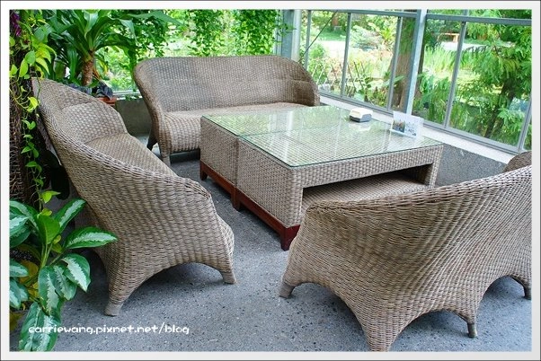 菁芳園休閒農場|田尾最美的落羽松森林,彷佛到了歐洲一樣的異國風情 @飛天璇的口袋