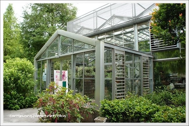 菁芳園休閒農場|田尾最美的落羽松森林,彷佛到了歐洲一樣的異國風情 @飛天璇的口袋