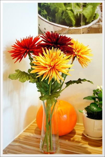 【台中異國料理】碟子西班牙料理.Spanish Bistro Diezi。兩個韓國人開的歐式餐廳 @飛天璇的口袋