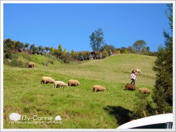 花蓮旅遊|花蓮3天2夜,走中橫玩花蓮,3天2夜行程規劃總表 @飛天璇的口袋