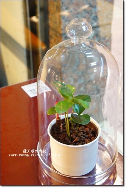 【台中餐廳推薦】杯子田.Cupfoods Farm。創意時尚料理,Fusion風味做法 @飛天璇的口袋