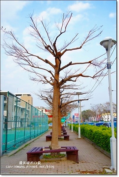 尋鹿咖啡 Caribou Café|麋鹿拉花拿鐵好卡哇伊,澎派鬆餅好吃又吸睛,才剛吃完就開始懷念 @飛天璇的口袋