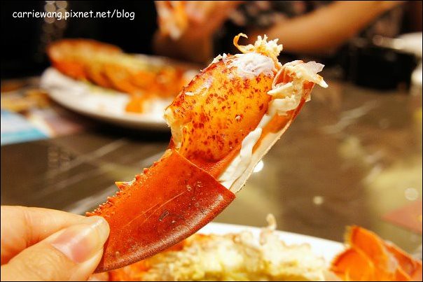 【台中百匯餐廳】金典酒店栢麗廳龍蝦吃到飽。龍蝦吃到飽真的是騙人的,因為我吃到快吐了! @飛天璇的口袋