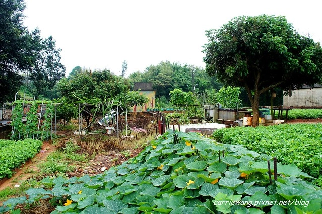 【金門民宿推薦】W系列民宿。走過復古與現代,到金門一定要住三合院閔式建築,體驗傳統古厝懷舊之美 @飛天璇的口袋