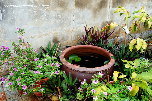 【金門民宿推薦】W系列民宿。走過復古與現代,到金門一定要住三合院閔式建築,體驗傳統古厝懷舊之美 @飛天璇的口袋