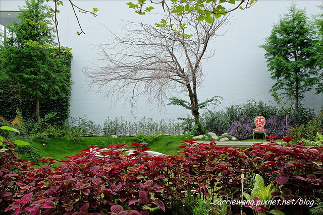 Buka這一隻熊:台中的世外桃源,外拍的好地方,旁邊還有雜貨店 @飛天璇的口袋