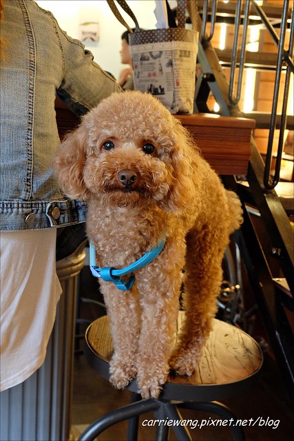 Buka這一隻熊:台中的世外桃源,外拍的好地方,旁邊還有雜貨店 @飛天璇的口袋