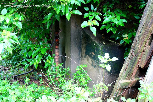 【金門民宿推薦】W系列民宿。走過復古與現代,到金門一定要住三合院閔式建築,體驗傳統古厝懷舊之美 @飛天璇的口袋