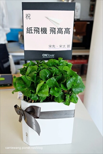 【台中下午茶】紙飛機咖啡館.Café Paper Flight。位於北區一中商圈附近小巧溫馨的咖啡館,親切的服務是令人印象最深刻的地方 @飛天璇的口袋