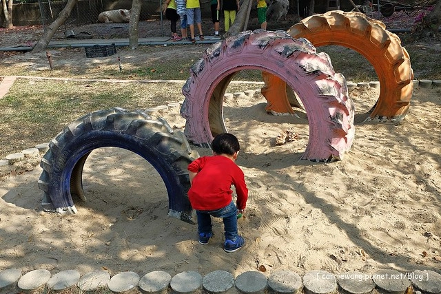 台中潭子|大木塊生態農場.有大片草皮和小動物,台中親子旅遊烤肉最佳場所 @飛天璇的口袋