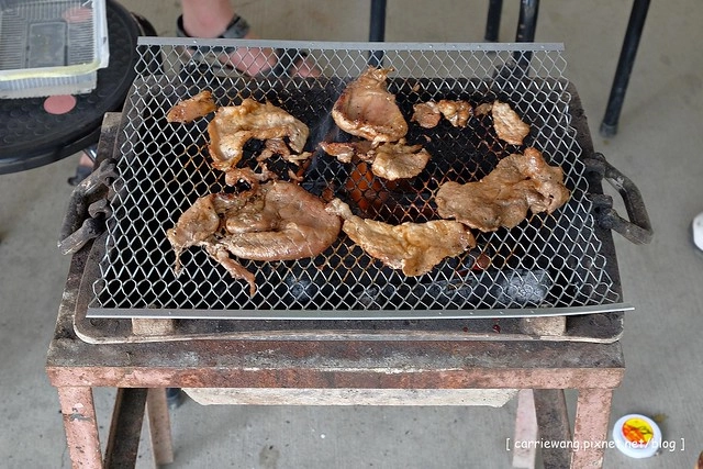 台中潭子|大木塊生態農場.有大片草皮和小動物,台中親子旅遊烤肉最佳場所 @飛天璇的口袋