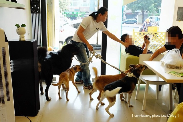 【台中下午茶】Home Cafe 幸福。好食。咖啡。台中寵物友善咖啡館,餐點也有到位,樓上有養狗狗哦 @飛天璇的口袋