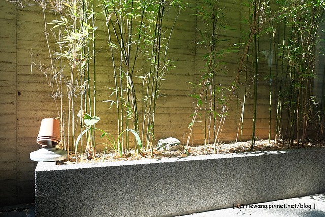 台中南屯|滬舍餘味餐館.台中米其林必比登推薦,道地上海味生煎包會爆漿 @飛天璇的口袋