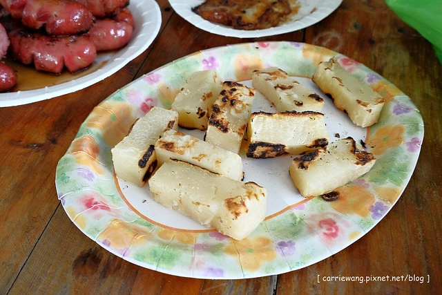 台中潭子|大木塊生態農場.有大片草皮和小動物,台中親子旅遊烤肉最佳場所 @飛天璇的口袋