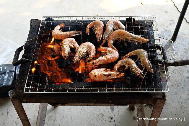 台中潭子|大木塊生態農場.有大片草皮和小動物,台中親子旅遊烤肉最佳場所 @飛天璇的口袋