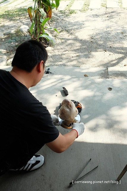 台中潭子|大木塊生態農場.有大片草皮和小動物,台中親子旅遊烤肉最佳場所 @飛天璇的口袋