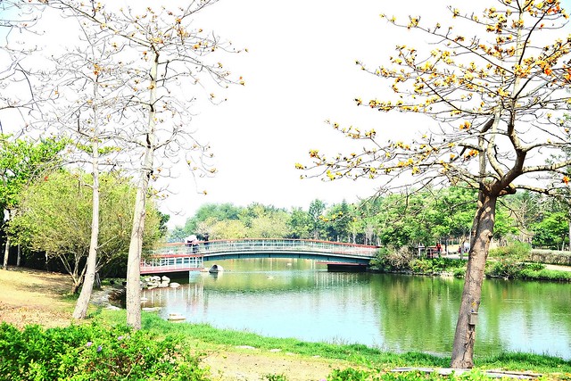【彰化旅遊景點】溪州費茲洛公園。紫色薰衣草盛開中,公園裡有小橋湖泊,而且不定期的會有熱氣球活動 @飛天璇的口袋
