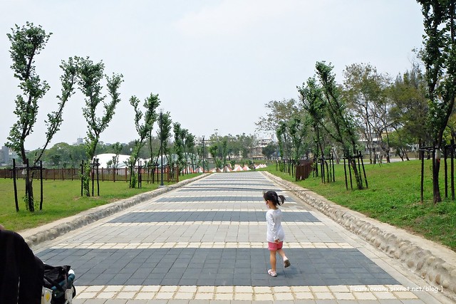 【台中旅遊景點】太平坪林森林公園。比秋紅谷大三倍,有生態滯洪作用的美麗公園,是情侶散步約會和家長溜小孩的好地方 @飛天璇的口袋