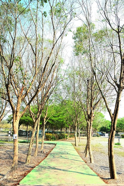 【彰化旅遊景點】溪州費茲洛公園。紫色薰衣草盛開中,公園裡有小橋湖泊,而且不定期的會有熱氣球活動 @飛天璇的口袋
