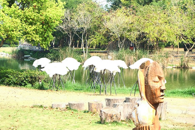 【彰化旅遊景點】溪州費茲洛公園。紫色薰衣草盛開中,公園裡有小橋湖泊,而且不定期的會有熱氣球活動 @飛天璇的口袋